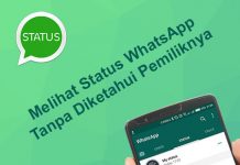 Cara melihat status WA (WhatsApp) tanpa diketahui pemiliknya