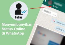 Cara menyembunyikan status Online di WA