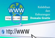 Kelebihan dan kekurangan serta cara cek domain gratis