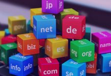 pengertian, fungsi, dan jenis domain pada website