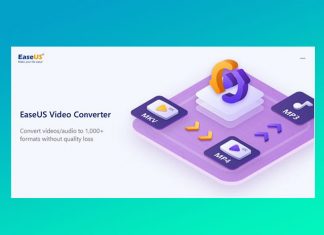 Review software EaseUS Video Converter