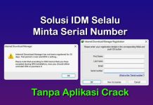 cara mengatasi IDM menita serial number terus