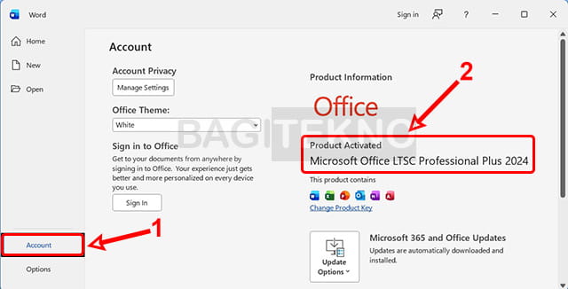 Microsoft Word, Excel, PPT 2024 berhasil teraktivasi